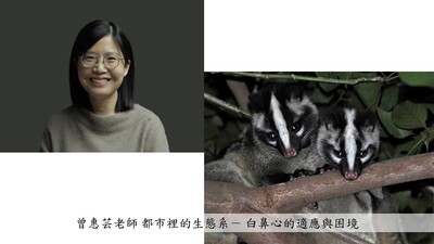 曾惠芸老師 都市裡的生態系－白鼻心的適應與困境圖片